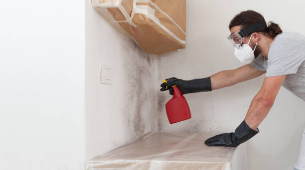 Professional Bathroom Mold Removal technician working in Nokomis, IL