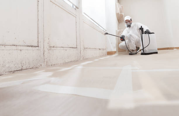24/7 Emergency Bathroom Mold Removal experts in Nokomis, IL