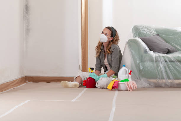 Reliable Bathroom Mold Removal contractor in Nokomis, IL by 24 Hour Mold Removal