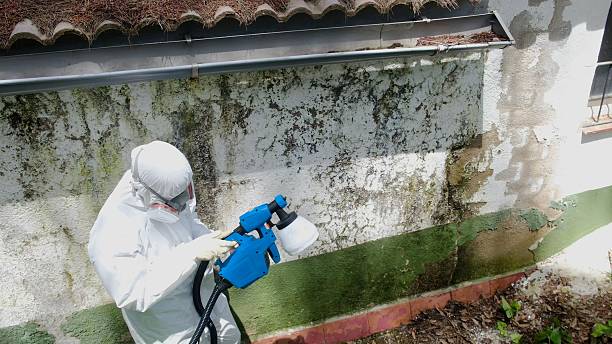 Top rated local Bathroom Mold Removal specialists in Nokomis, IL